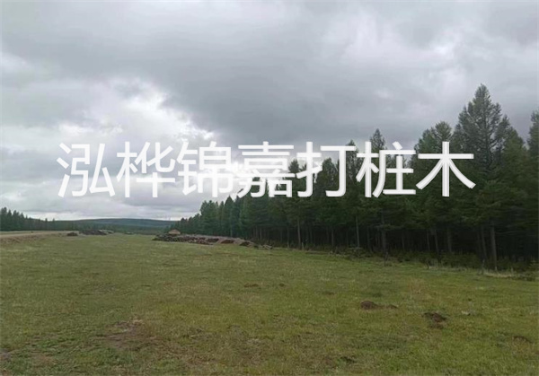 軟土地基加固措施，保障建筑穩(wěn)固