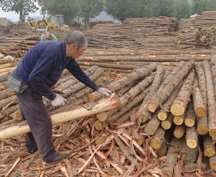 地面注漿加固施工，提升建筑物穩(wěn)定性