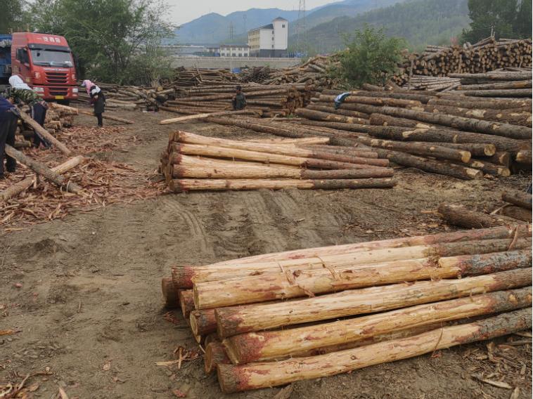 打造獨(dú)特魅力，混凝土著色劑為您加冕